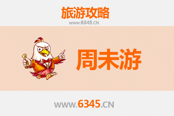 东营周末游攻略：黄河入海口湿地奇遇与滨海风情