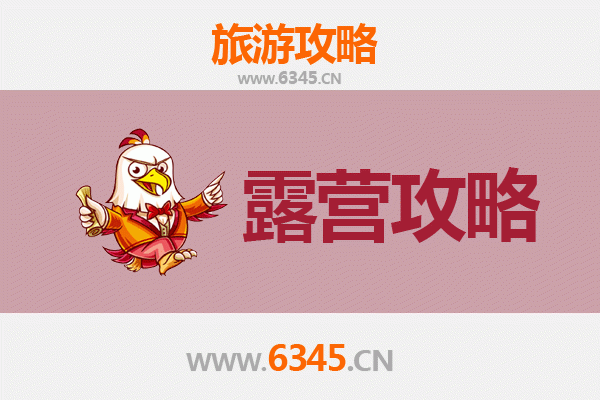 东营周边露营胜地全攻略：黄河口生态与滨海风情的完美融合