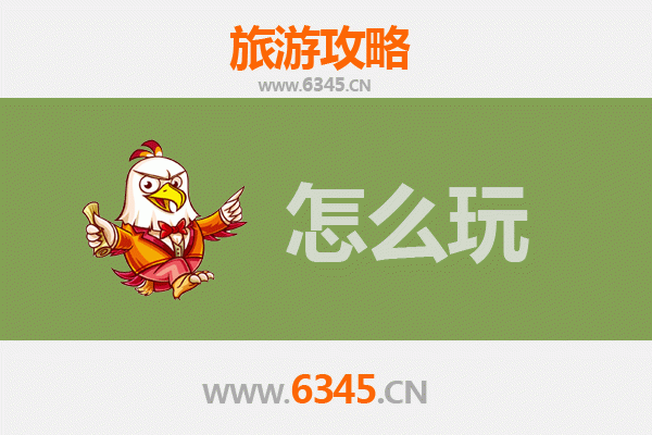 节假日东营游玩全攻略：黄河入海口的生态奇遇与休闲之旅